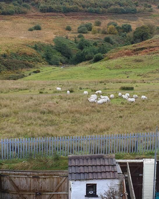 Welsh Miners Cottage Four Bedroom House Treherbert Екстер'єр фото